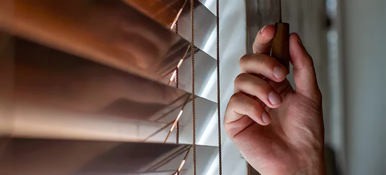 Double Roller Blinds in Titusville, FL